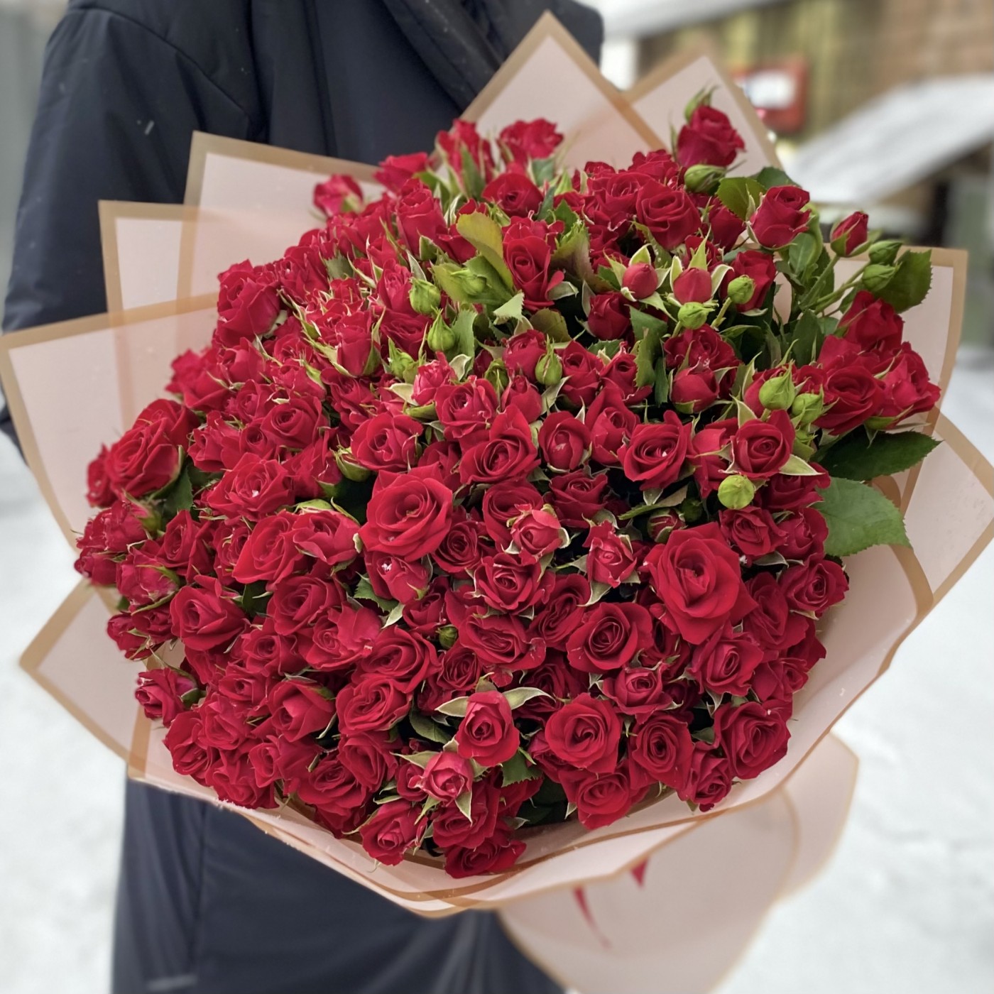 51 кустовая красная роза Рубикон 50 см